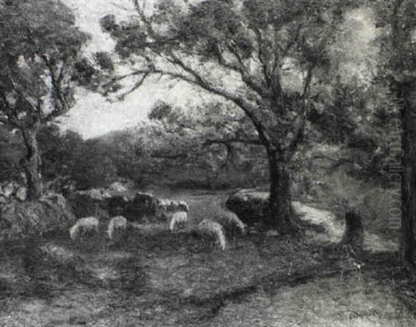 Grazing Sheep On A Fall Day - view 1