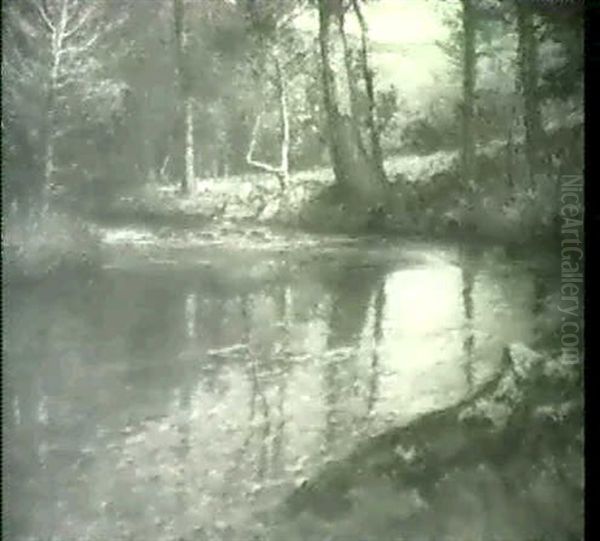 Through The Hemlock Shade - view 1