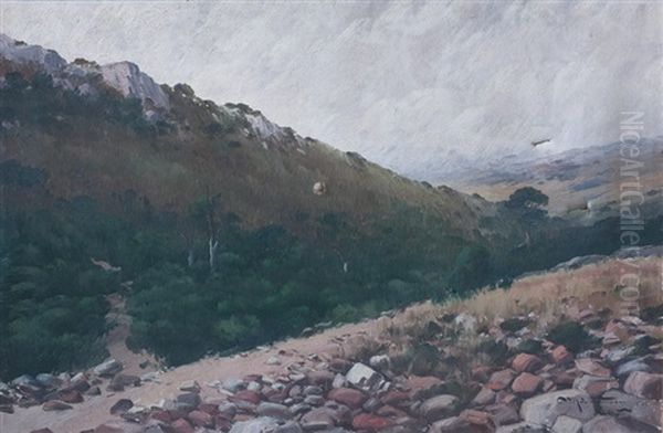 Cerro Empedrado - view 1