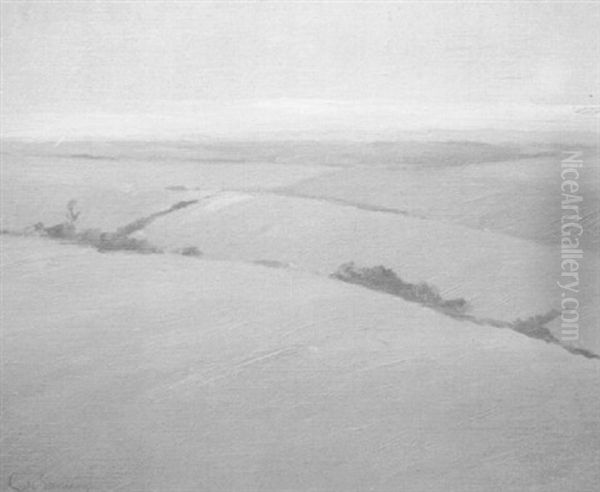 Paisaje De Campo - view 1
