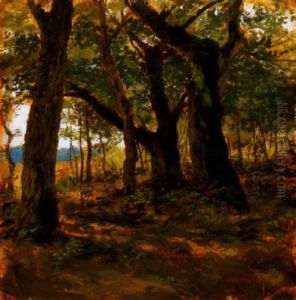 Napfenyes Liget (sunlit Grove)