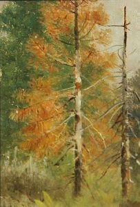 Mount Tallac; Dead Pine, Lake Tahoe; Chinatown, San Francisco Before The Fire Of 1906 (group Of 3)