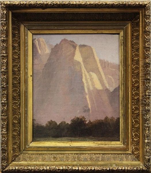 Yosemite Valley - view 1