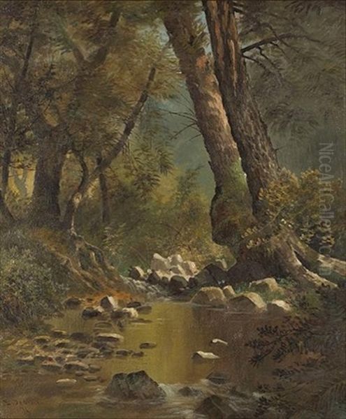 Berkeley Creek - view 1