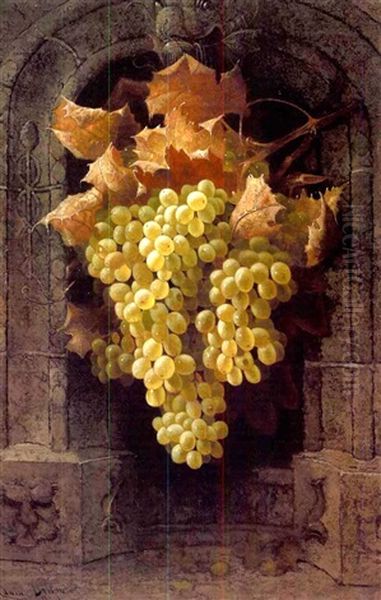 A Still Life With Grapes (+ Sketch Of An Armorial Device, Verso) - view 1