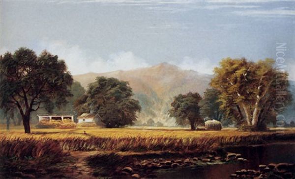 A Summer Harvest - view 1
