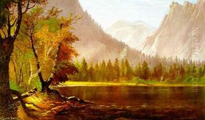 Falling Leaves, Lake Tahoe