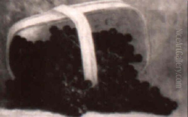 Black Grapes Spilling From Bucket - view 1