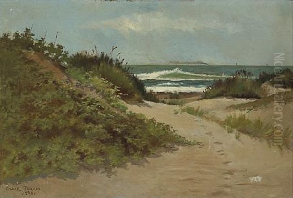 A Path Through Coastal Dunes (ocean Beach, San Francisco?) - view 1