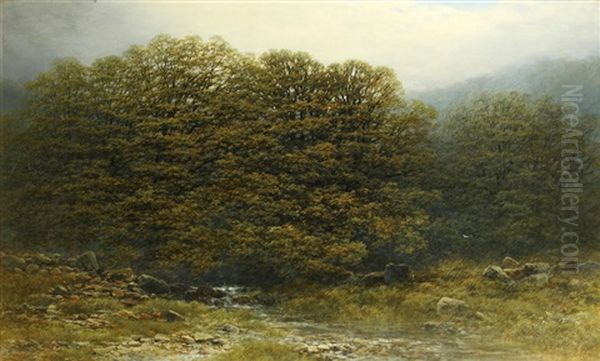 A Wooded Vale - view 1