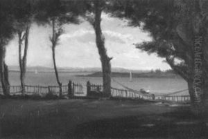 The Hammock
