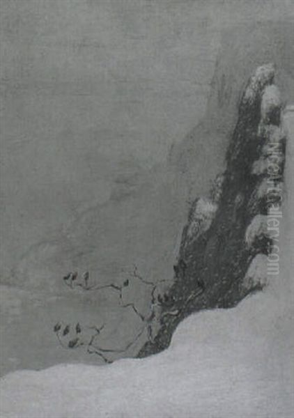 Winter Cliffs - view 1