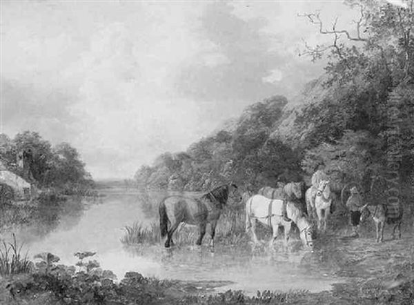Horses Drinking Along The River - view 1