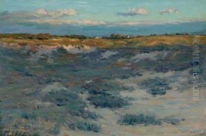 Heather Plain, Easthampton, Long Island Heather Plain, Easthampton, Long Island