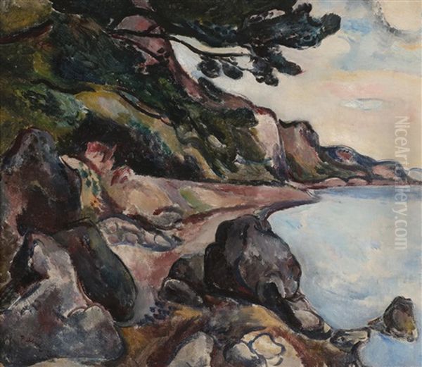 Kystlandskap - view 1