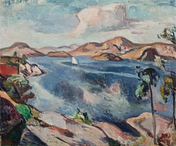 Utsikt Fra Skatoy - view 1