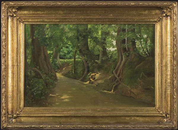 Forest Stream - view 1