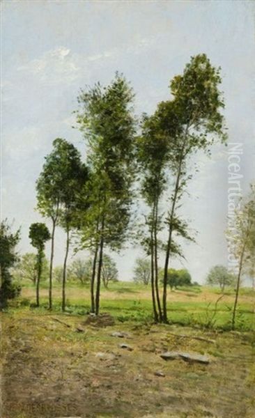 Bouquets D'arbres En Lisiere De Champs - view 1