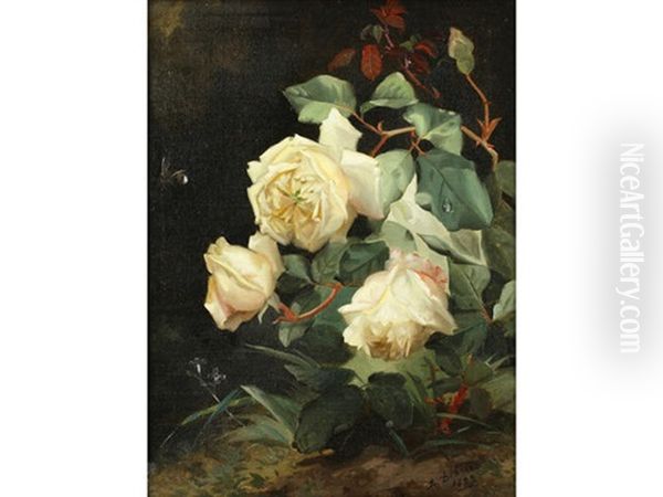 Roses - view 1