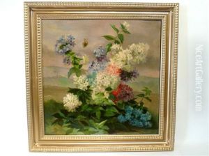 Hortensias Et Papillon Hortensias Et Papillon