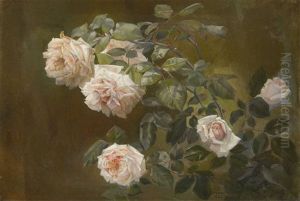 Rosier Sauvage Rosier Sauvage