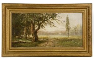 Bucolic Spring Country Lane