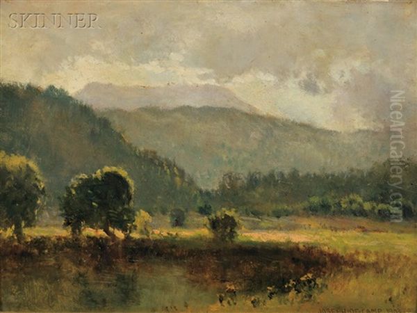 Sunlit Pasture - view 1