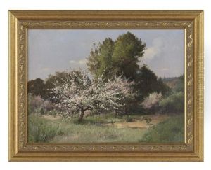 Cerisiers En Fleurs, Pres De Picardie by Albert Decamps