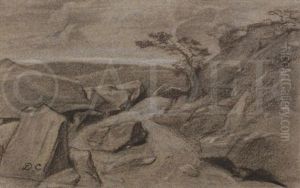 Paysage Au Rocher