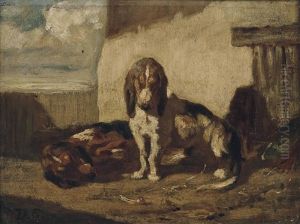 Basset Hounds Basset Hounds