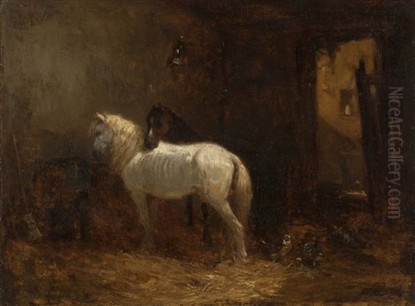Stable - view 1