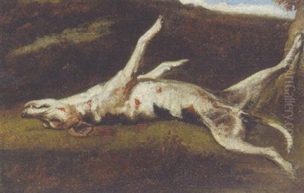 A Casualty - view 1