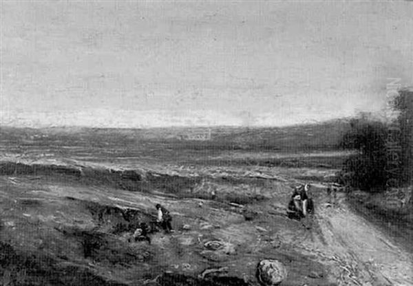 Feldlandschaft - view 1