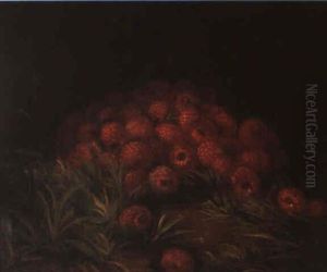 Raspberries