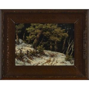 Winter Trail Through Pine Trees At Night by Robert M. Decker