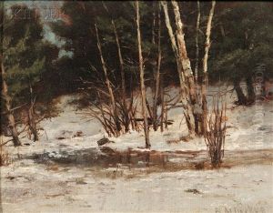 Winter Scene With Trees