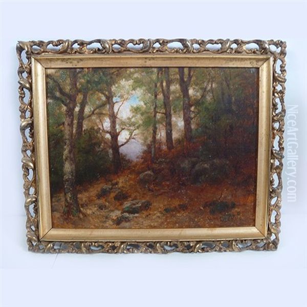 Wooded Landscape - view 1