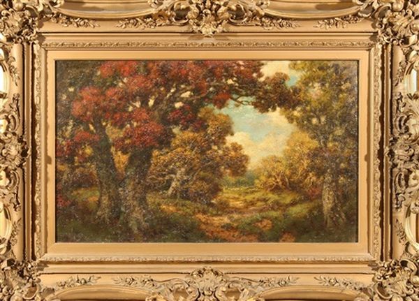 Autumn Landscape In The Forest - view 1
