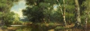 Woods And River Woods And River
