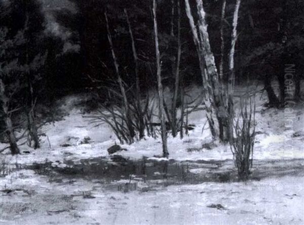 Winter Stream - view 1