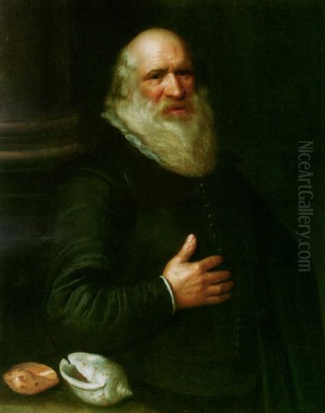 Portrait Of John Tradescant The Elder Wearing A Dark Coat And White Ruff, With Two Shells On A Table To His Right - view 1