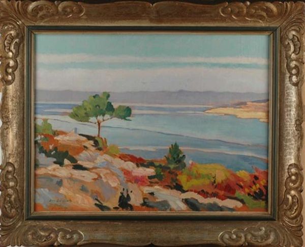 Levha - view 1