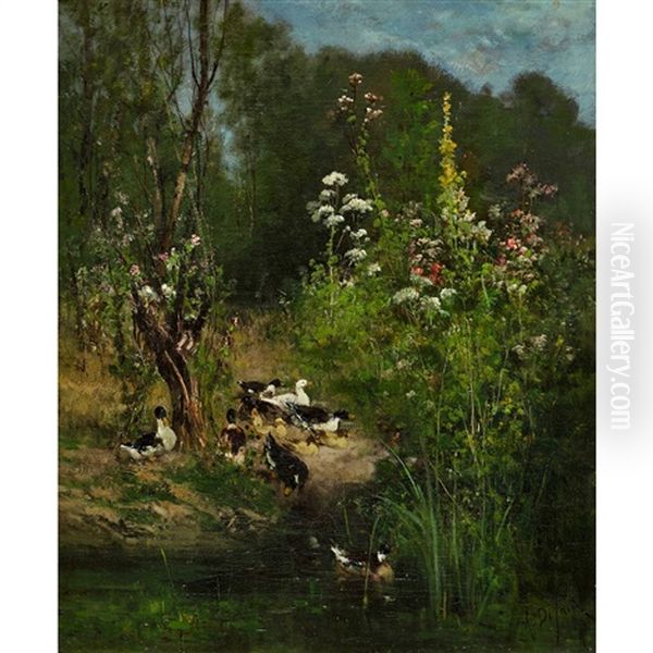 Enten Am Ufer - view 1