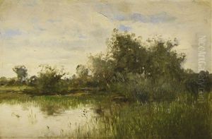 Paysage A La Mare Paysage A La Mare