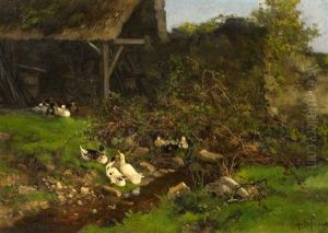 Enten Am Bachlauf by Alexandre Defaux