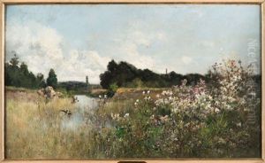 Bras D'un Etang En Seine Et Marne by Alexandre Defaux