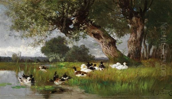 Enten Am Weiher - view 1