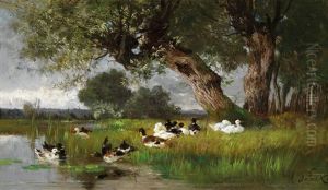 Enten Am Weiher by Alexandre Defaux