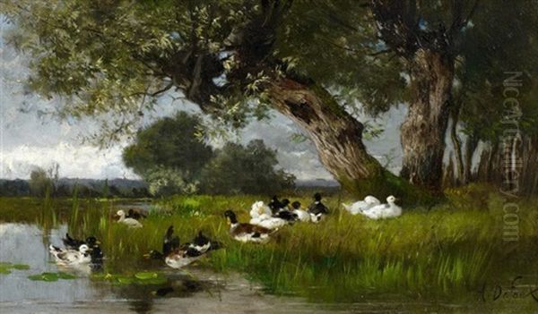 Enten Unter Weiden Am Ufer - view 1