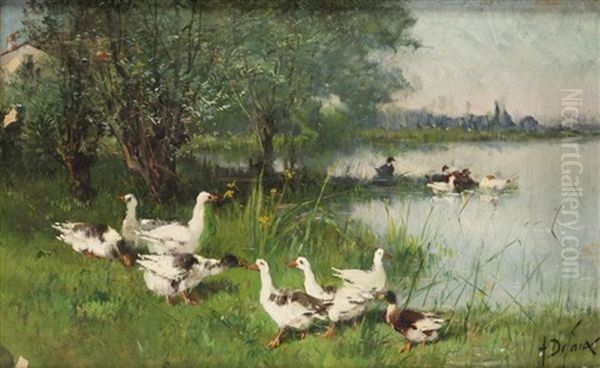 Les Oies Et Canards A Montigny Sur Loing - view 1